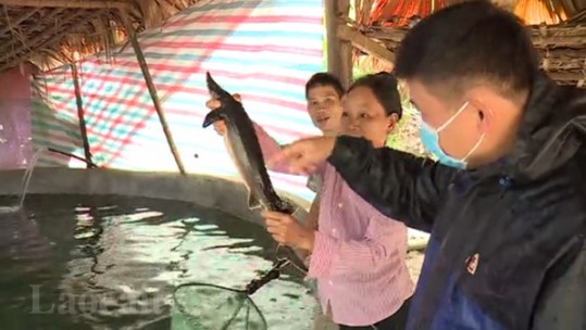 Phúc Khánh mạnh dạn phát triển sản phẩm 