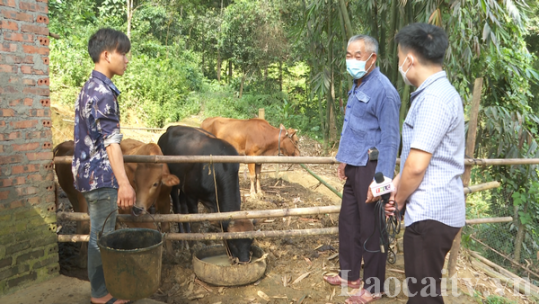 Phát huy lợi thế để giảm nghèo ở Dìn Chin