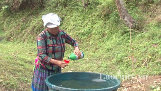 Tăng cường quản lý thuốc bảo vệ thực vật trên địa bàn tỉnh