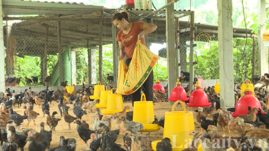 Phát triển nông nghiệp ven đô