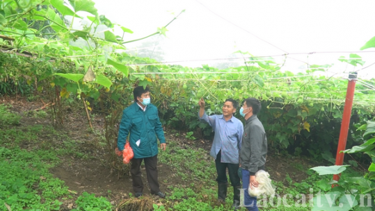 Bát Xát đảm bảo nguồn lực để phát triển kinh tế địa phương