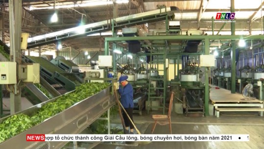 Nông nghiệp chủ động thích ứng với các tác động của đại dịch Covid-19