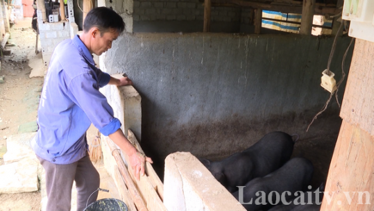 Mô hình nuôi lợn an toàn sinh học trong cộng đồng