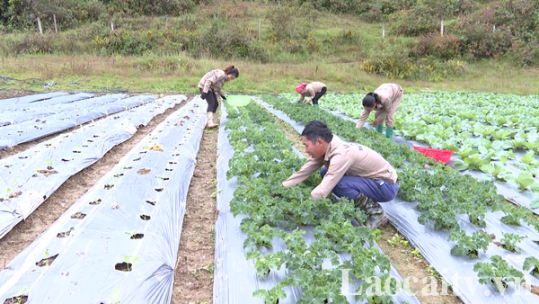 Bắc Hà có 4 sản phẩm đăng ký chấm sao OCOP
