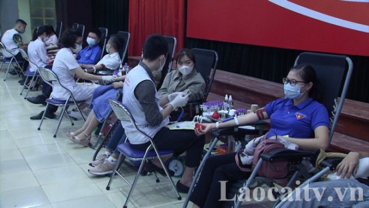 Hiến máu cứu người - Nghĩa cử cao đẹp