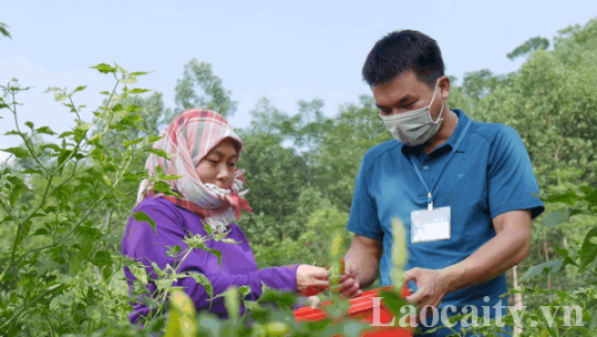 Củng cố chỉ số thành phần DDCI – Giải pháp cải thiện môi trường đầu tư, kinh doanh