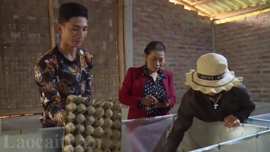 Thanh niên nuôi dế làm giàu