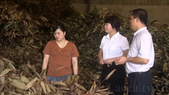 Lào Cai nâng cao chất lượng tín dụng