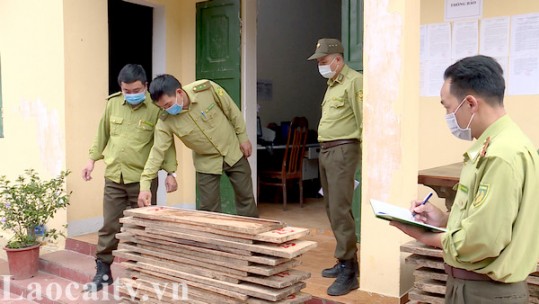 Vườn quốc gia Hoàng Liên tăng cường xử lý khai thác lâm sản trái phép