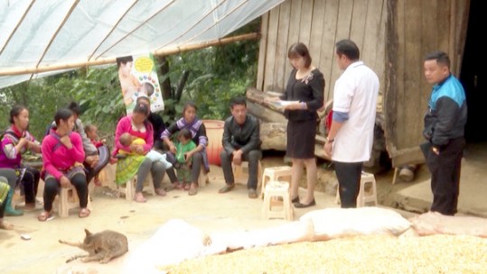 Thực hiện bình đẳng giới và xóa bỏ bạo lực trên cơ sở giới