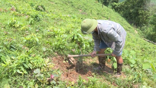 Hiệu quả các nguồn vốn giảm nghèo hỗ trợ đồng bào dân tộc thiểu số phát triển kinh tế