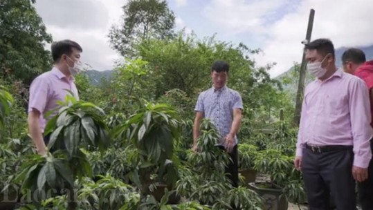 Tăng cường đảm bảo an toàn nguồn vốn chính sách
