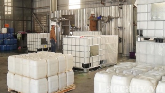 Lào Cai triển khai 11 giải pháp hỗ trợ doanh nghiệp nhỏ và vừa