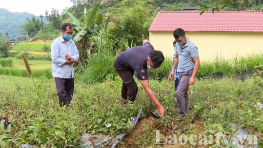 Lào Cai hỗ trợ lao động hồi hương từ vùng dịch