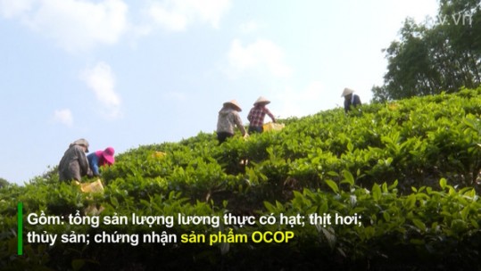 Lào Cai sau một năm thực hiện Đề án 01