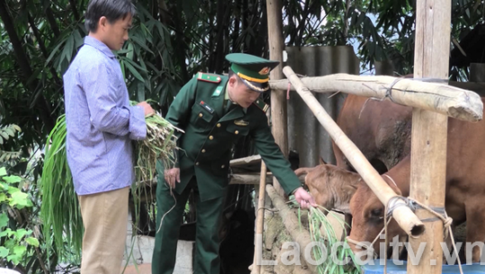 Một đôi vai, hai nhiệm vụ