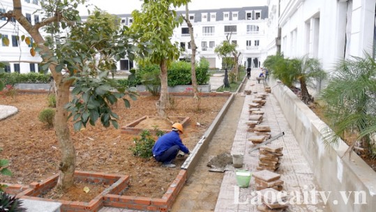 Lào Cai phê duyệt chủ trương đầu tư 4 dự án