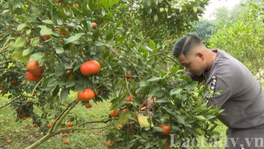 Người dân thôn An Thành quyết tâm bứt phá, thoát nghèo vươn lên