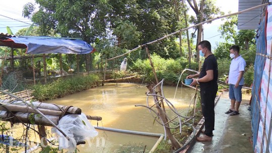 Văn Bàn có gần 2.600 hộ sản xuất kinh doanh giỏi các cấp