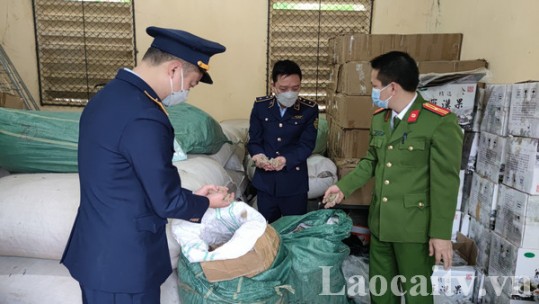 Thu giữ gần 300 kg củ tam thất khô không rõ nguồn gốc