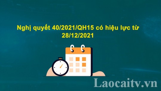 Tiếp tục cơ chế thu nhập đặc thù đến khi cải cách tiền lương