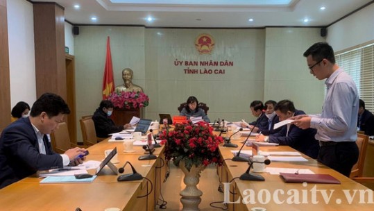 Hội đồng đánh giá trình độ công nghệ tỉnh Lào Cai đánh giá công nghệ sản xuất 37 dự án