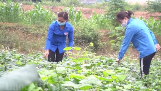 Đào tạo nghề gắn với phong trào lập thân lập nghiệp của thanh niên nông thôn