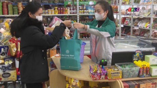 Hạn chế sử dụng túi nilon khó phân huỷ