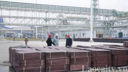 Vùng xanh trong sản xuất công nghiệp