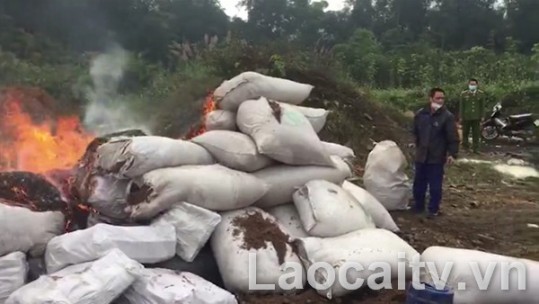 Bắt giữ 500kg nội tạng động vật không rõ nguồn gốc xuất xứ