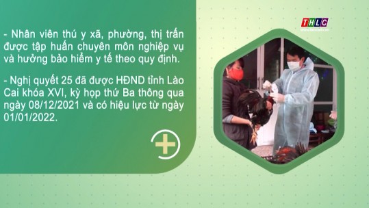 Nghị quyết 25 quy định số lượng, chế độ đối với nhân viên thú y cơ sở