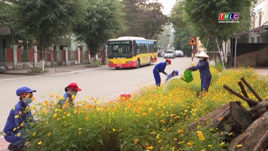 Những gốc cây nở hoa