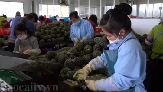 Thích ứng linh hoạt trong đào tạo nghề, giải quyết việc làm cho người lao động