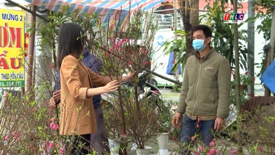 Rục rịch chợ hoa xuân Nhâm Dần
