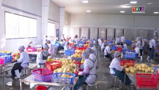 Lào Cai kêu gọi doanh nghiệp đầu tư vào nông nghiệp