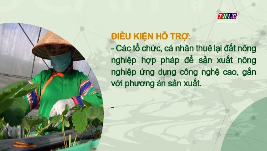 Chính sách hỗ trợ tích tụ đất đai