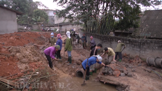 Cựu chiến binh tham gia xây dựng nông thôn mới
