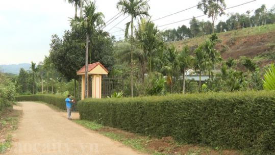 Mô hình 3 đẹp 