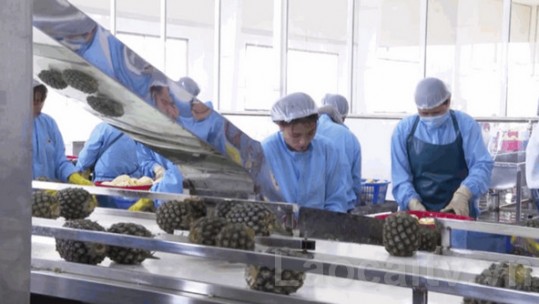 Hỗ trợ phát triển sản xuất nông nghiệp công nghệ cao