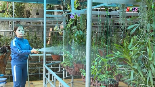 Mong ước năm mới của người dân Lào Cai