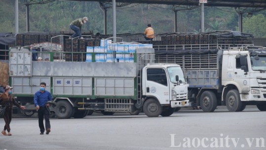 Thiếu lao động bốc xếp hàng hoá sau tết