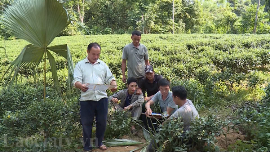 Bảo Yên có trên 400 báo cáo viên, tuyên truyền viên pháp luật