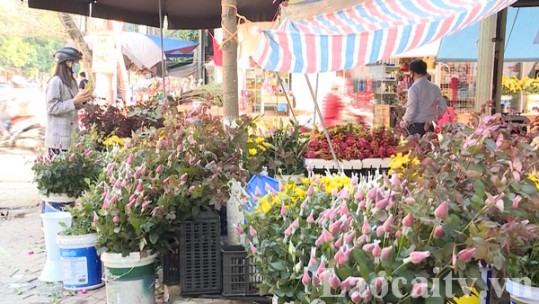 Tin thị trường ngày 3/3: Hoa, quả biến động giá nhẹ