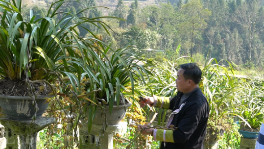 Tinh thần khởi nghiệp của nông dân Tả Phìn
