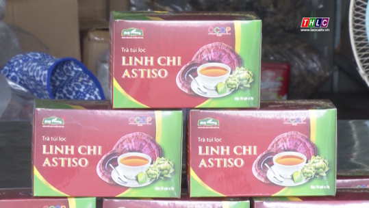 Bình chọn sản phẩm công nghiệp nông thôn tiêu biểu