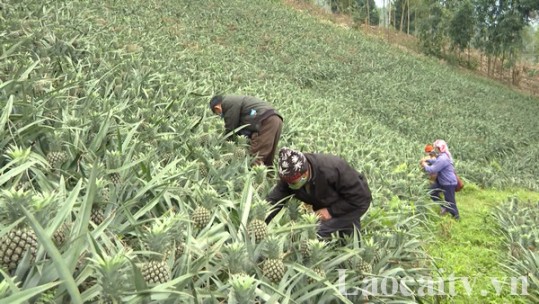 Người dân Lùng Vai đoàn kết giúp nhau phát triển kinh tế