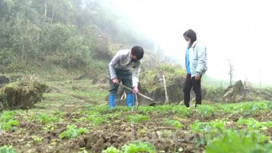 Tuổi trẻ Bắc Hà xung kích xây dựng quê hương
