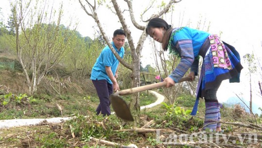 Điển hình trong phong trào thanh niên lập nghiệp