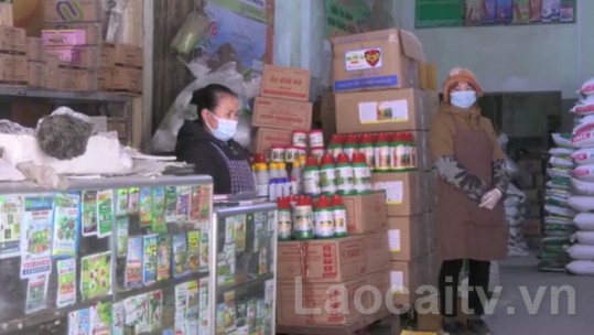 Sản xuất vụ xuân khó khăn do giá phân bón tăng cao