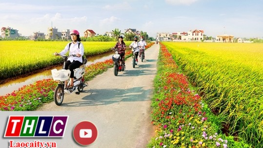 19 tiêu chí quốc gia về xã nông thôn mới nâng cao giai đoạn 2021 - 2025